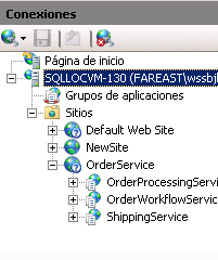 Panel Conexiones en AppFabric