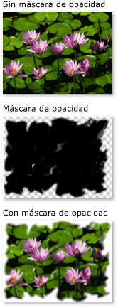 Objeto con una máscara de opacidad ImageBrush