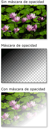 Objeto con una máscara de opacidad LinearGradientBrush