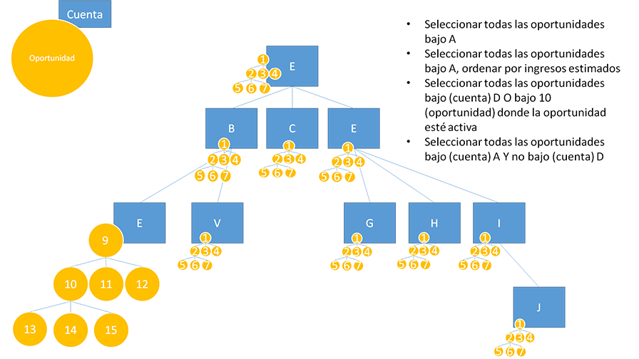 Query account's related opportunities