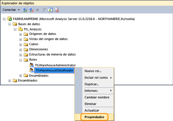 Abrir propiedades del rol de lector de datos de Tfs_Analysis