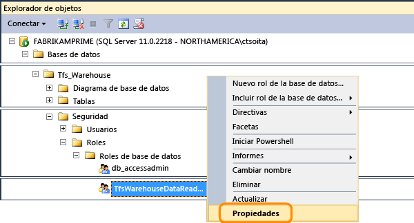 Abrir propiedades del rol de lector de datos de Tfs_Warehouse