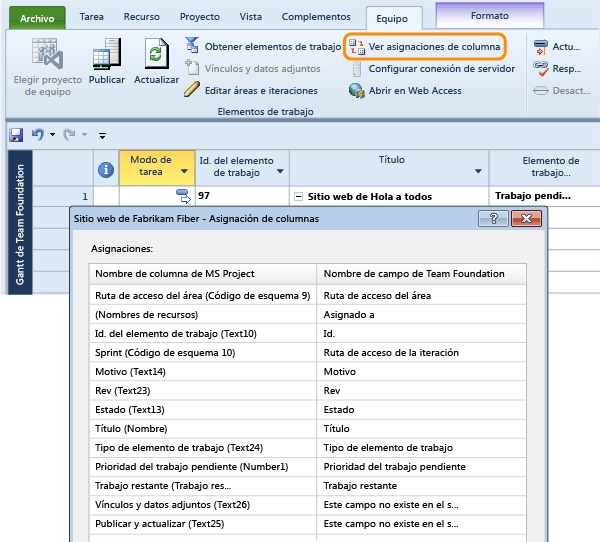 Ver los campos de TFS asignados a campos del proyecto