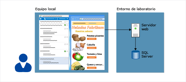 Pruebas manuales con servidores de laboratorio.