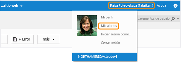 Administrar alertas individuales en Team Web Access