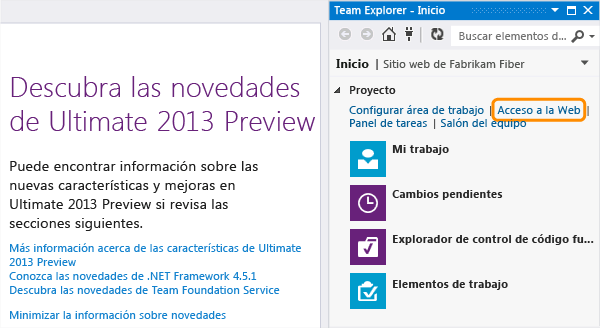 Conectar con Team Web Access