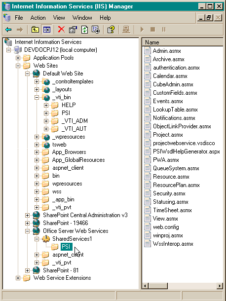 PSI Web services in IIS