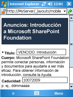 Formulario de elemento de edición de dispositivo móvil personalizado