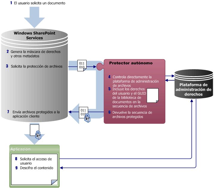 Pasos del protector IRM integrado después de la solicitud