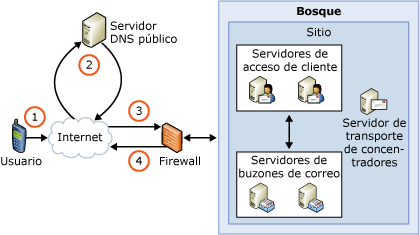 Introducción a la detección automática en Exchange ActiveSync