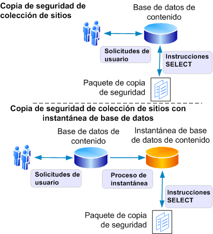 Proceso de exportación/copia de seguridad pormenorizada