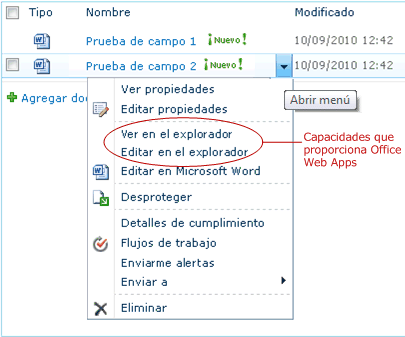 Funcionalidades proporcionadas por Office Web Apps