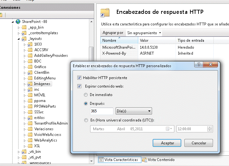 Cuadro de diálogo Establecer encabezados de respuesta HTTP personalizados