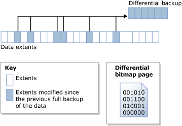 Mapa de bits diferencial identifica extensiones modificadas