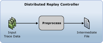 Fase de preprocesamiento de Distributed Replay