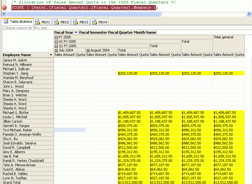 Valor calculado del miembro Q1 FY 2005