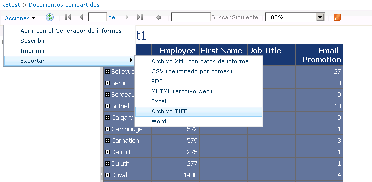 Elemento web Visor de informes