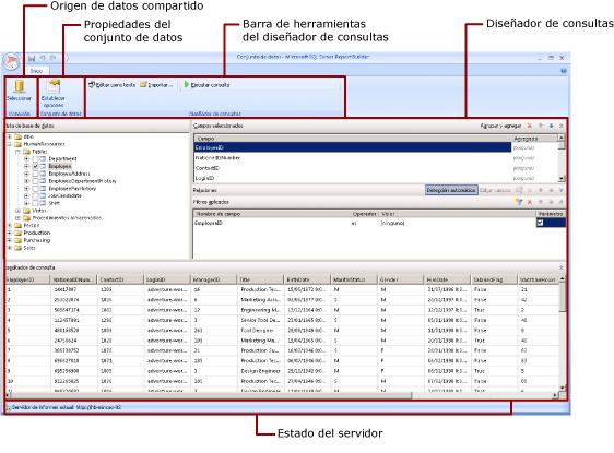 Generador de informes en la vista de diseño de conjunto de datos compartidos