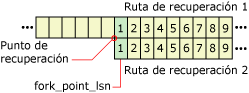 Cómo se reutilizan LSN en diferentes bifurcaciones de recuperación