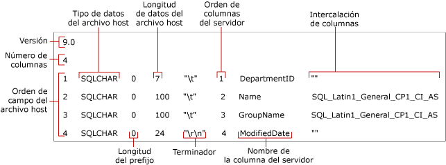 Identifica los campos de un archivo de formato no XML