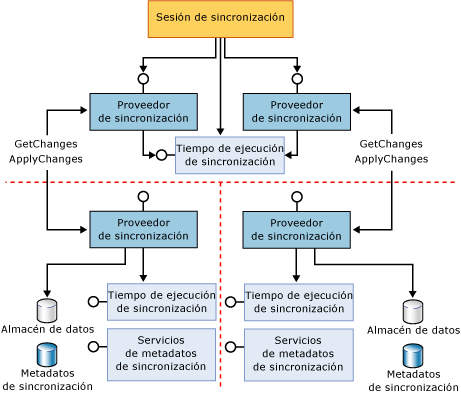 Componentes de participantes de aplicación y participantes proxy