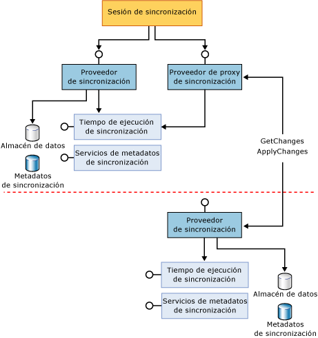 Componentes de participantes completos y participantes proxy