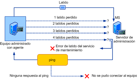 Ilustración del proceso de latido