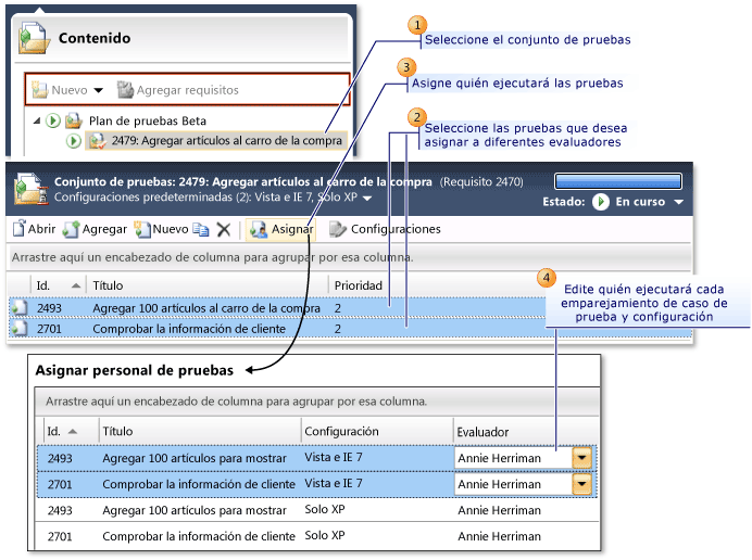 Asignar quién ejecutará las pruebas