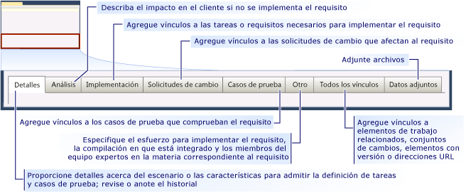 Formulario de elemento de trabajo Requisito de CMMI: pestañas