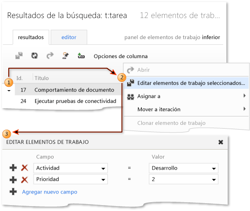 Modificación en masa (Team Web Access)