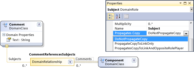 Propiedad Propagates Copy del rol de dominio