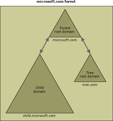 A child domain used to form a contiguous namespace