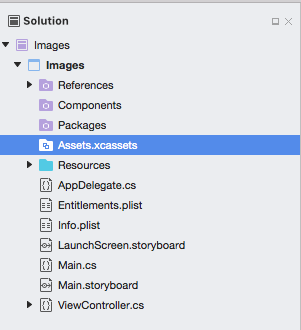 El archivo Assets.xcassets en el Explorador de soluciones