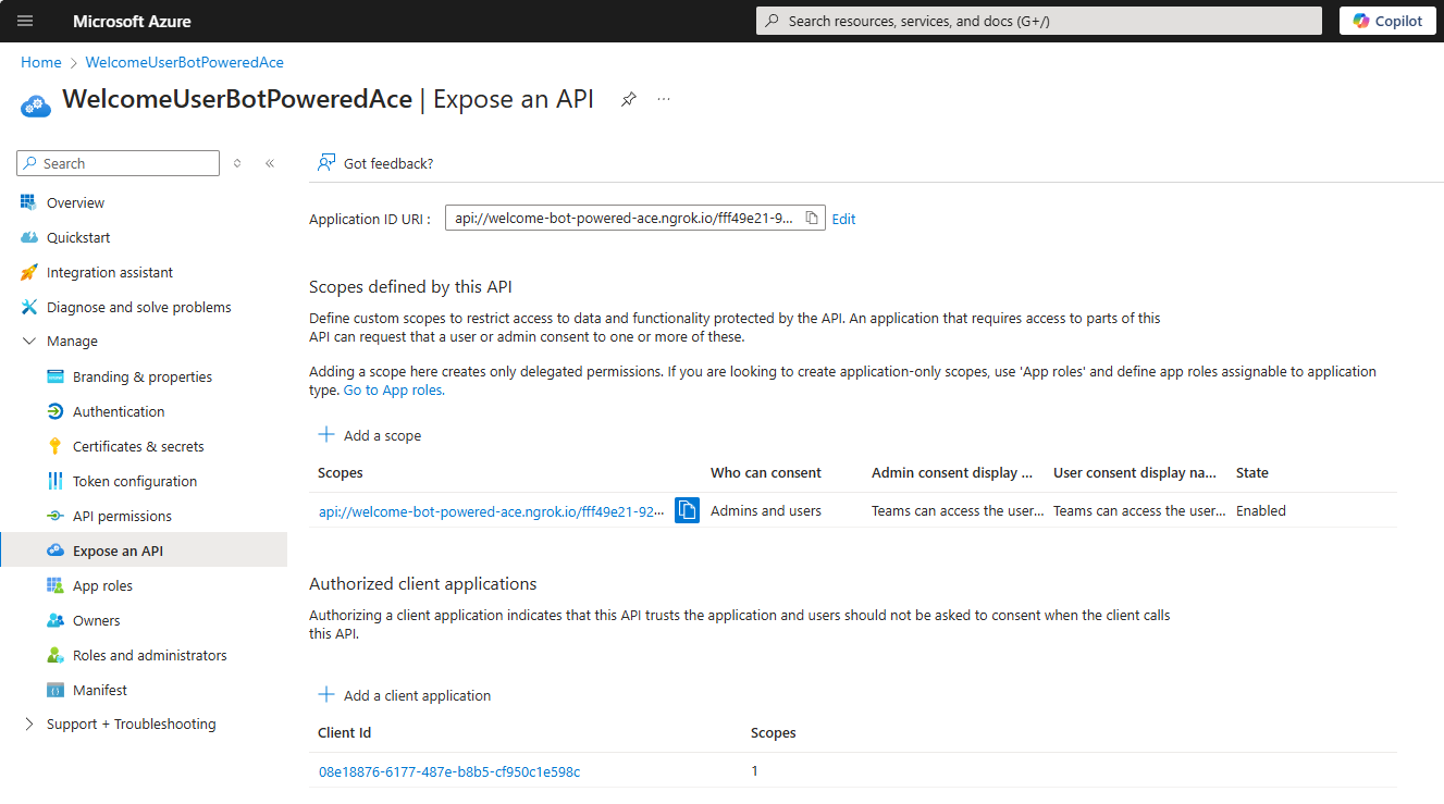 The "Expose an API" panel configured with a custom Application ID URI, a custom scope with name "access_as_user", and a couple of authorized client applications.