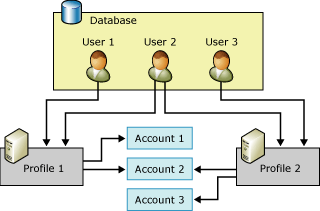 Relación de usuarios, perfiles y cuentas