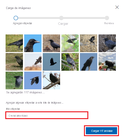 Captura de pantalla que muestra cómo agregar una descripción de etiqueta a las fotos cargadas en Custom Vision.