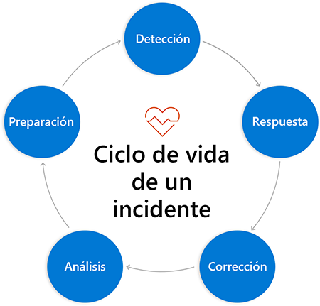 Cycle diagram of circles labeled with phases from above. Circles are connected to next circle with arrows from phase to phase.