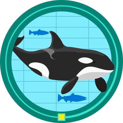 Ilustración del distintivo de investigación sobre orcas, con una orca nadando y dos salmones.