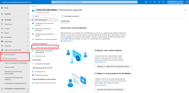 Recorte de pantalla de la hoja Información general de External Identities con la navegación izquierda resaltando Atributos de usuario personalizados.