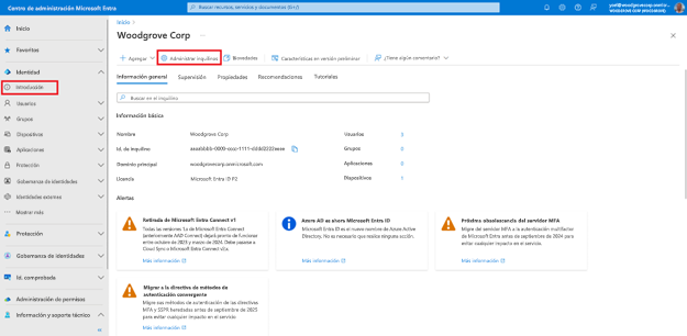 Captura de pantalla de la página Información general de identidad. El botón de la barra de herramientas titulado Administrar inquilinos está resaltado.