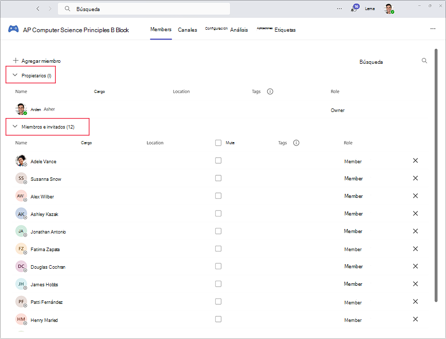 Screenshot of the area to manage owners and members in Microsoft Teams.