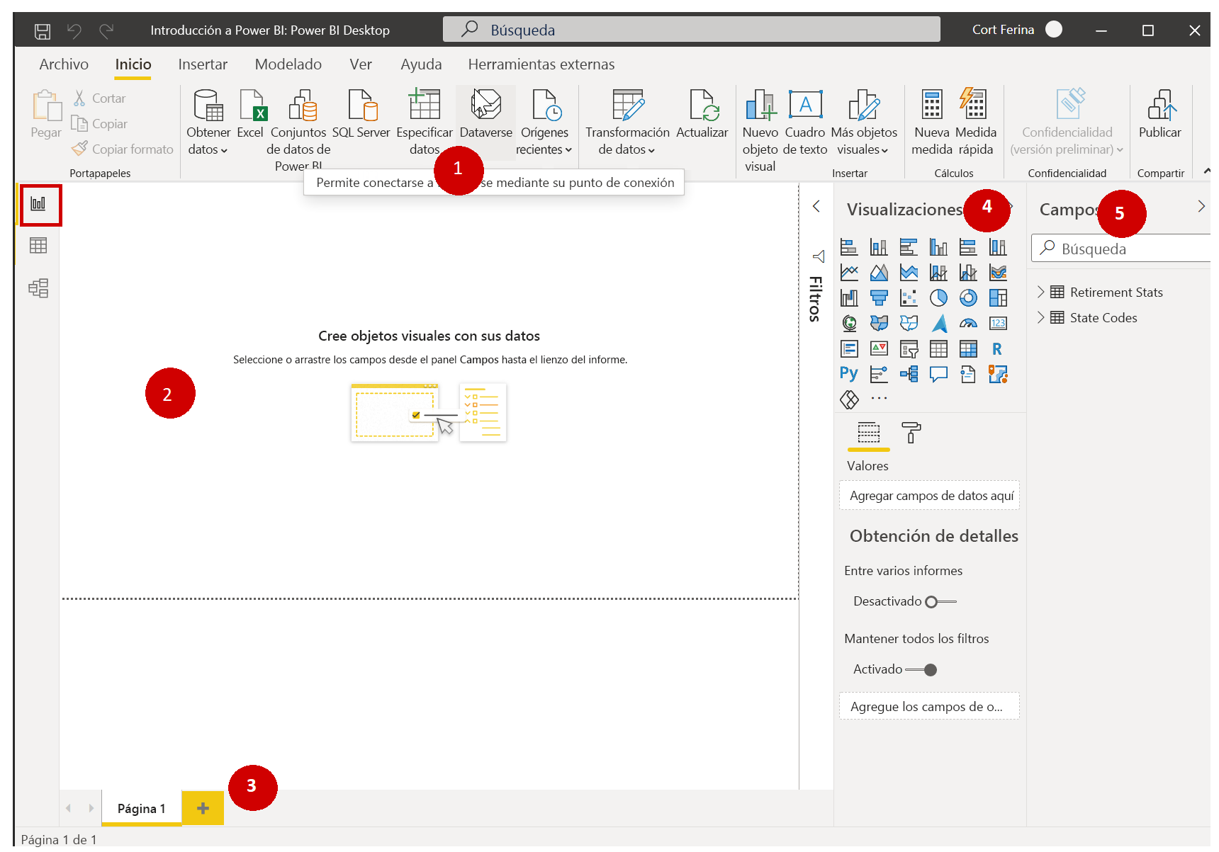 Áreas de visualización del informe