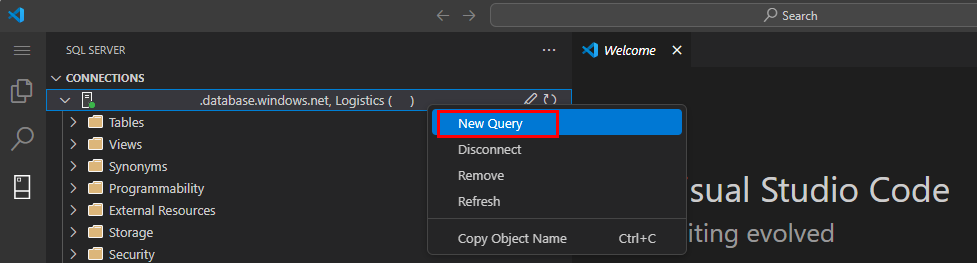 Captura de pantalla de la opción Nueva consulta en Conexiones en la extensión mssql para Visual Studio Code.