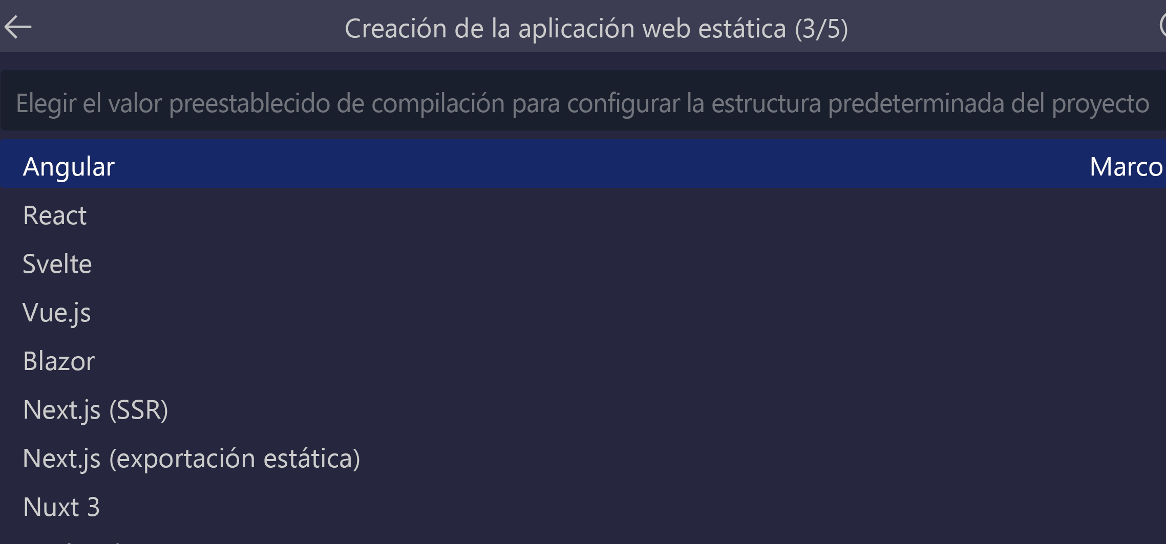 Recorte de pantalla en el que se muestra la opción Angular seleccionada.