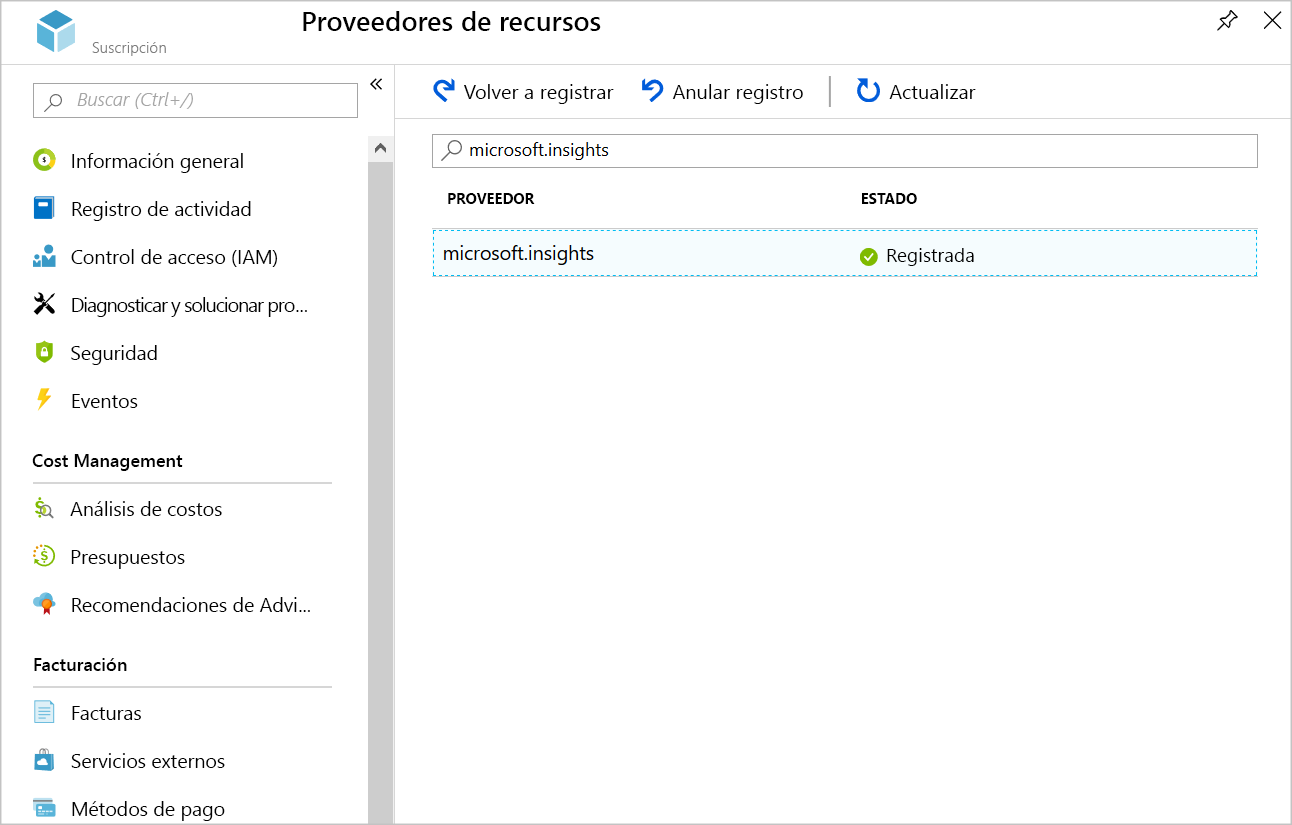 Screenshot showing the registered Microsoft.Insights provider.