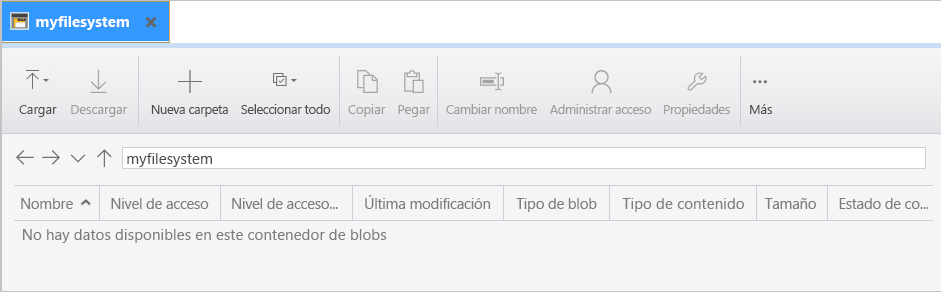 Captura de pantalla en la que se muestran la vista y la cinta de control de myfilesystem.