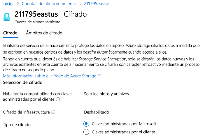 Screenshot that shows Azure Storage encryption, including keys managed by Microsoft and customer-managed keys.