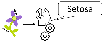 Diagrama que muestra el entrenamiento de un modelo de clasificación de flores según medidas, como características y especies, como clases.