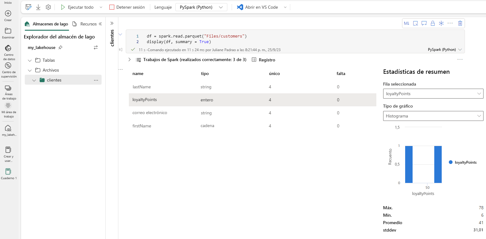 Screenshot of the summary statistics being automatically presented without the need for any additional coding.