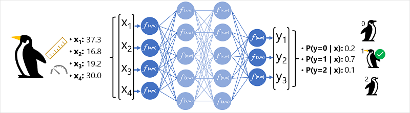 Diagrama de una red neuronal utilizada para clasificar una especie de pingüino.